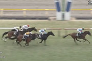 ゆりかもめ賞覇者スカイスプレンダー骨折で全治6ヶ月以上