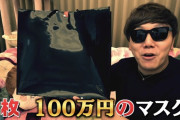 【悲報】HIKAKIN、100万のマスクを買った結果ｗｗｗｗｗｗｗｗｗ
