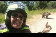 バイク乗りのおじさん、ヒグマと自撮りした後にかみ殺される　ルーマニア