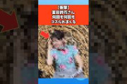 【衝撃】富田鈴花さん何回も何回もイジられる #日向坂46 #乃木坂46