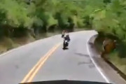 【動画】これは被害者。逆走の2人乗りバイクと正面衝突したトラックのドラレコ。