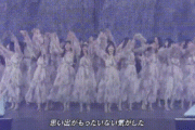 やっぱり乃木坂46は美しい！！！