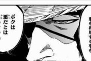 【BLEACH】BLEACHで京楽が総隊長って、カカシが火影並みに頼りないよね？？？？？