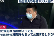 中国チーム「人→人感染は12月中旬から。潜伏期間は5.2日、患者1人から平均2.2人に感染」