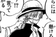 【ONEPIECE -ワンピース】シャンクス「銃を抜いたからには命を賭けろよ」モブ「あ？」