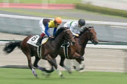 【競馬】未完の大器ことヘンリーバローズさん種牡馬入り決定！！