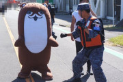 【艦これ】そういえばボクカワウソの中身って・・・