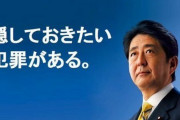 【動画】森法務大臣、黒川氏が唯一の立法事実だと認める・・・黒川は関係ない論とは何だったのか？