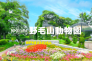 本日4月1日は横浜市立野毛山動物園の開園70周年記念日です