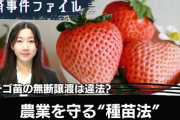 楽韓さん、本日の動向 - お、種苗法違反で摘発あったんだ。これはよい法律ですよね