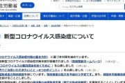 【CNN】専門家「日本の新型コロナ感染者は氷山の一角」「実際は公式統計の10倍は多い」