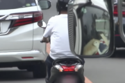 すぐ抜かされるくせに信号待ちで追い越すバイクって何？