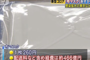 布マスクがついに配達開始！ 東京都内からはじまり5月中に全戸へ