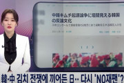 韓国「日本の嫌韓発言に韓国人が怒り爆発！」→日本人「韓国は韓国起源説を主張し、相撲・歌舞伎・醤油・うどんまで韓国の物と言い張る」　韓国の反応