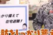 団長安田の妻・安田さち、コンビニで見知らぬ子連れ女に突然怒鳴られ「手が震え動悸がおさまりませんでした・・」