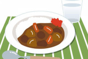 【画像あり】俺「ひろし～ごはんよ～」 俺「わーい、鯖カレーだー」