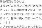 【悲報】ガンプラ女子さん、意味不明な本音をぶちまける「ガンプラは好きだが作るのは嫌い」