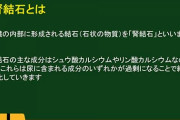 腎臓が宝石作っちゃっててワロタ