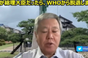 立憲民主党議員、原口さん気がつけば総理になる妄想にまで到達「私が総理大臣だったら WHO から脱退し、WHO へ拠出していた税金を WCH に回す」
