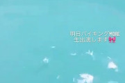 【乃木坂46】秋元真夏 ちゃぷちゃぷ.gif