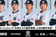 ロッテの人気選手TOP5がこちら！