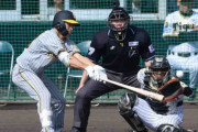 阪神育成Ｄ２位・福島圭音、紅白戦の初打席で安打