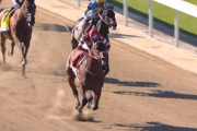 しかし今週は日本馬が海外G1勝った記念の週なのにあまり話題に上がらなかったわね