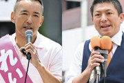 【悲報】TikTokキッズ「選挙？参政党かれいわしか知らんｗ」