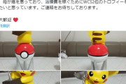 母親の癌治療を稼ぐ為にポケモン世界大会優勝のトロフィーを売る