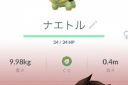 【ポケモンGO】切実！「帽子ポケモン」を進化させられるようにして欲しい！最悪帽子を外させて欲しい！