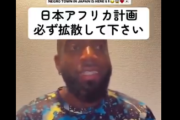 【悲報】黒人男性「ついに日本に黒人タウンができる！俺はずっと日本を黒人の国にしろって言ってきた。世界中のナイジェリア人、木更津へ行け！」