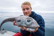 【画像】ノルウェーでとんでもない魚が取れてしまう