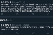 「クレイジークレイジーは既にCleaskyのモノと言うか志希フレの方がカバー曲なのでは？と思ってしまう」「カバー曲って言い方悪いけど"偽物感"が拭えないんだけど」