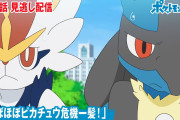 【無料動画】アニメ「ポケットモンスター」第４８話「ほぼほぼピカチュウ危機一髪！」-期間限定配信-