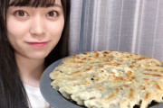 【悲報】AKB48西川怜のプラメの文章がTwitterと全く同じ
