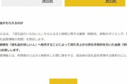 お金がもらえるふるさと納税サイト｢キャッシュふる｣登場　返礼品の代わりに寄付金額の20%のお金がもらえる