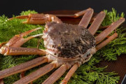 【深海】北海道産のオオズワイガニが「謎の大量発生」…300円の処分価格に