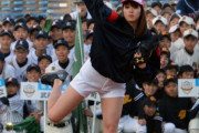 【悲報】稲村亜美のアレ、完全に風化する