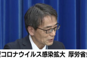 厚労省「人混みは避けて。新年会とか送別会とか不要不急の外出はしないで。会議もスカイプとかでやって」