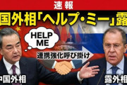 【速報】中国外相が露外相に「ヘルプ・ミー」高市首相発言受け連携強化呼び掛け