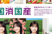 【乃木坂46】メンバーが調理に挑戦！！！