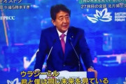 安倍「ウラジーミル、僕は君と同じ未来を見ている」→ロシア、北方領土に主力戦車配備