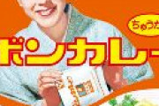 【悲報】ボンカレー値上げ　大塚食品