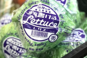 レタスに文字が書けるだとぅ？フレッシュな生野菜的レタスそっくりのメモ帳が販売中
