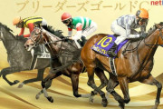 第36回 ブリーダーズゴールドカップ (JpnⅢ)