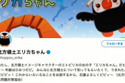 ロシア大使館「日本はTwitterが人気なんやな…人気取りに利用したろ！」 →