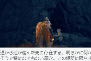 【エルデンリング】IGNがなんもないって不満漏らしてた洞窟の天井にロイヤルカーリアのスカラベ張り付いててワロタ