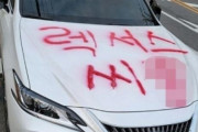 【悲報】韓国人「韓国人がレクサスにラッカーテロ！」→「胸がスッキリした」「覇気に拍手を送る」　韓国の反応