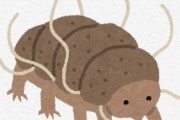 【いきもの】地球最強の生物クマムシ、雪の上でも活動していることが判明　研究者「非常に驚いた」