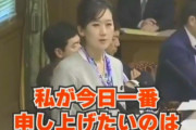 【松川るい】森友学園、結局何が問題だったのか。松川るいが根本を解説「そもそも国会でやる事じゃない」